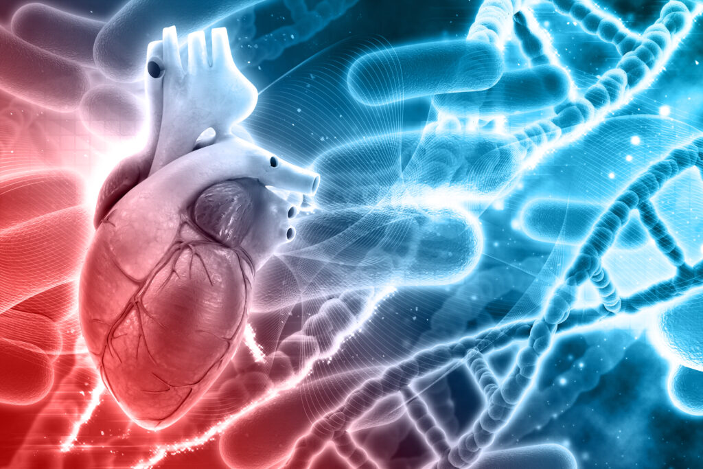 Blocked Arteries Treatment in JP Nagar
