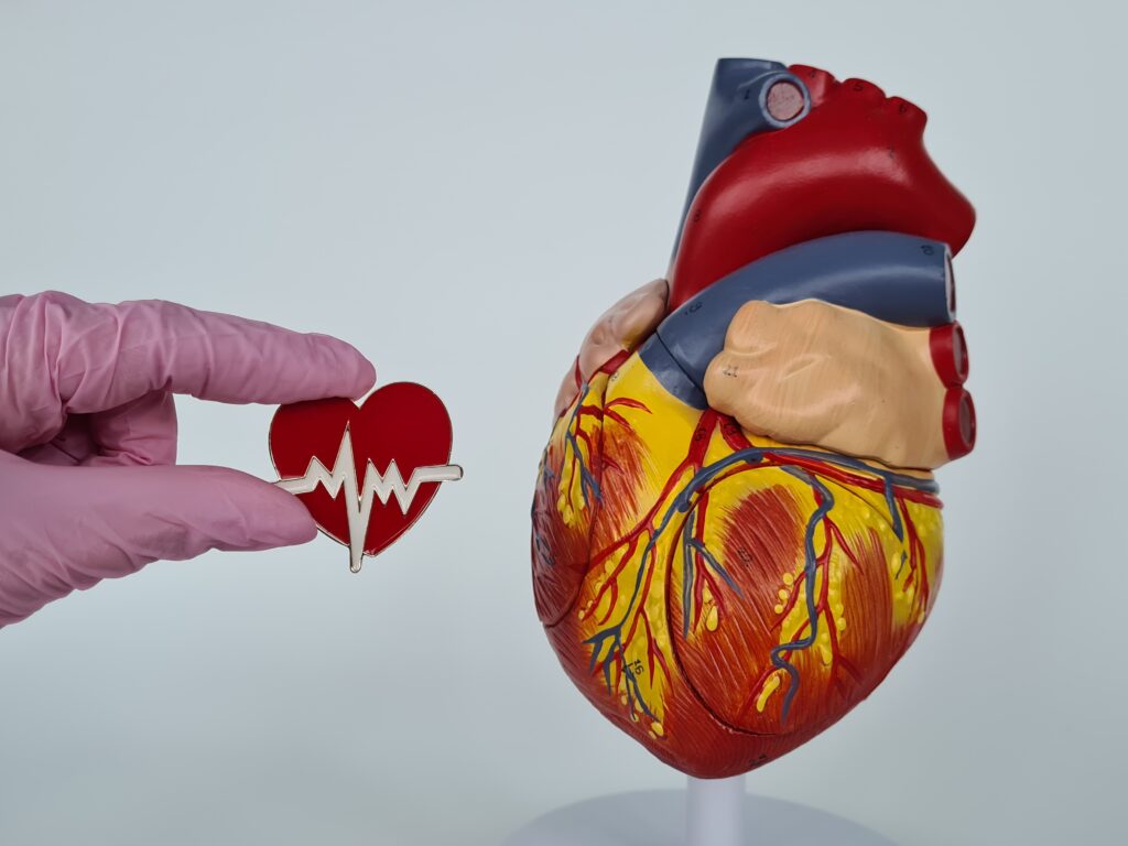 Heart Specialist in JP Nagar